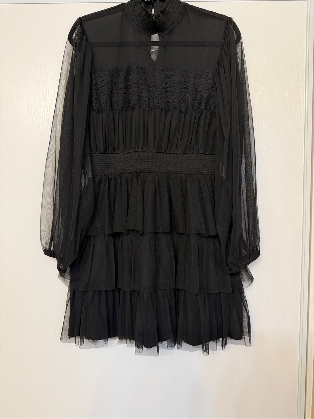 Black Sheer Long-Sleeve Mini Dress